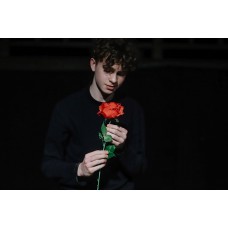 Маленький принц (2026-04-11)