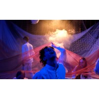 Чайка по имени Джонатан Ливингстон (2026-05-17)